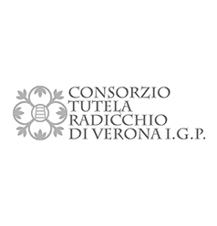 consorzio tutela radicchio di verona igp